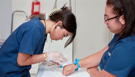 medical laboratory technician vs phlebotomist